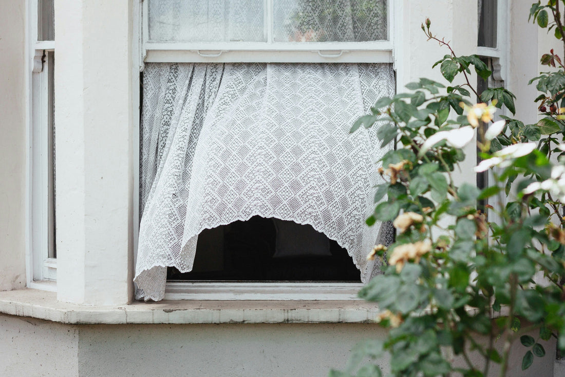 Natural Ways to Improve Indoor Air Quality Without an Air Purifier