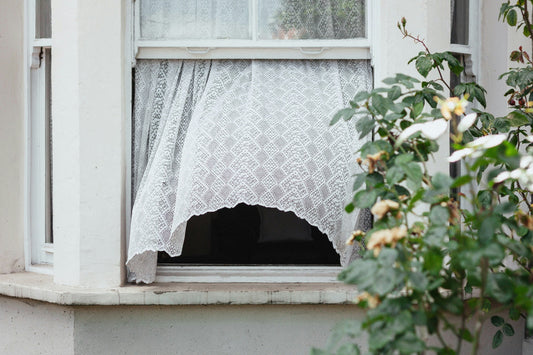Natural Ways to Improve Indoor Air Quality Without an Air Purifier